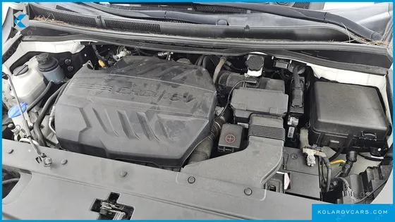 KIA CARNIVAL 7-SEATER LIMOUSINE
