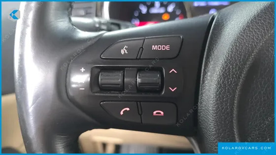 KIA CARNIVAL 9-SEATER NOBLESSE SPECIAL