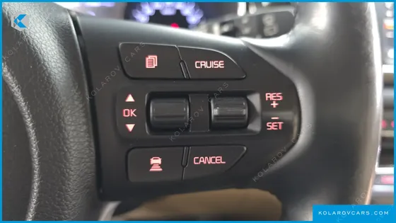 KIA CARNIVAL 9-SEATER NOBLESSE SPECIAL