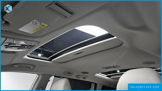 KIA CARNIVAL 9-SEATER NOBLESSE SPECIAL