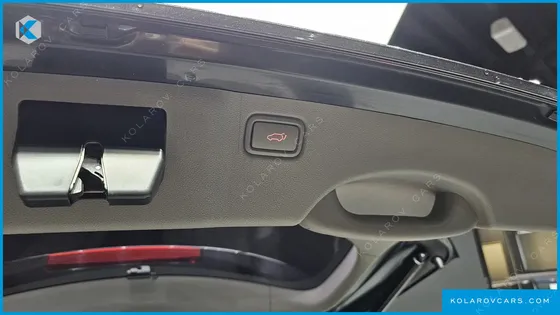 KIA CARNIVAL 9-SEATER NOBLESSE SPECIAL