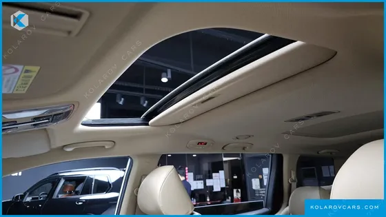 KIA CARNIVAL 9-SEATER LUXURY