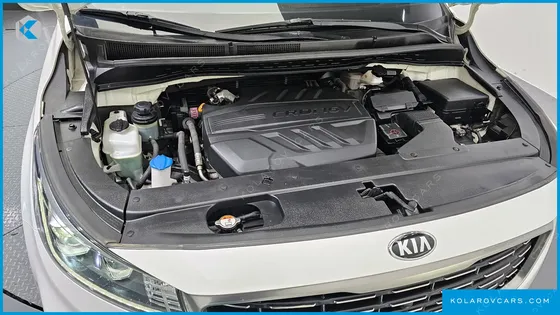 KIA CARNIVAL 7-SEATER LIMOUSINE