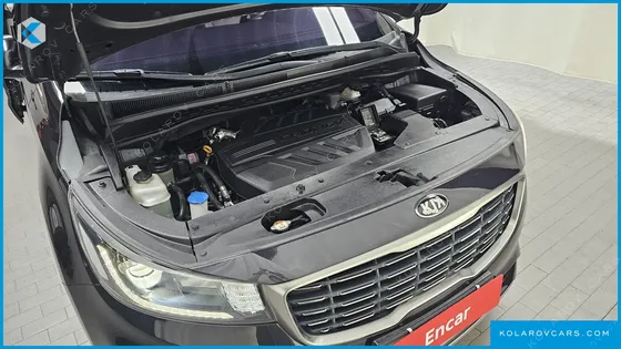 KIA CARNIVAL 9-SEATER LUXURY