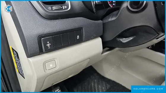 KIA CARNIVAL 9-SEATER LUXURY