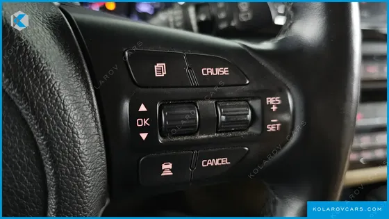 KIA CARNIVAL GASOLINE 9-SEATER HI-LIMOUSINE