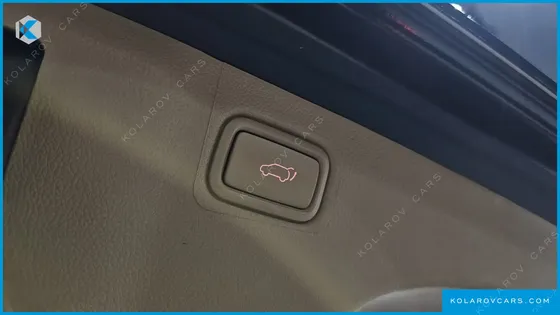 KIA CARNIVAL GASOLINE 9-SEATER HI-LIMOUSINE