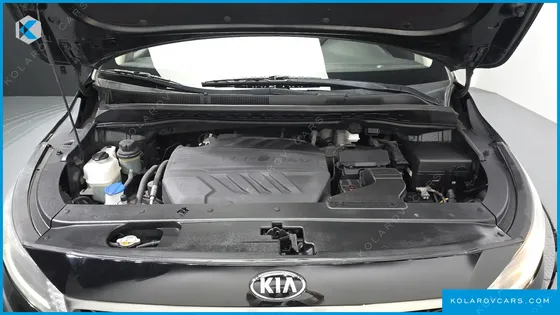 KIA CARNIVAL 9-SEATER LUXURY