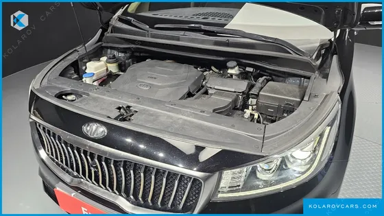 KIA CARNIVAL GASOLINE 7-SEATER LIMOUSINE