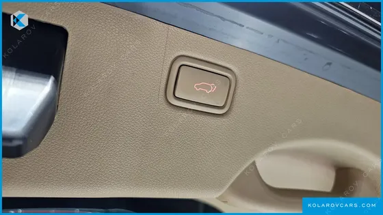 KIA CARNIVAL GASOLINE 7-SEATER LIMOUSINE