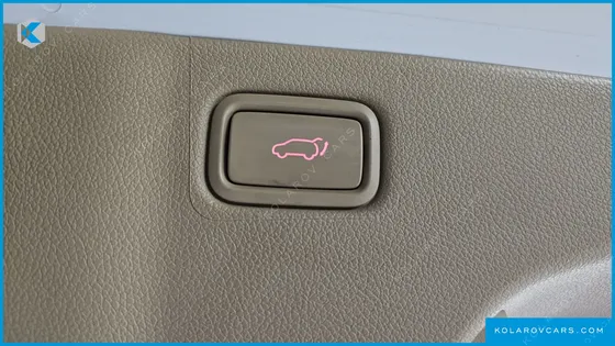 KIA CARNIVAL 9-SEATER NOBLESSE SPECIAL