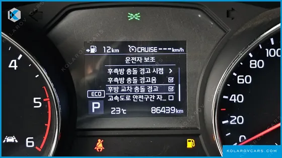 KIA CARNIVAL 9-SEATER NOBLESSE