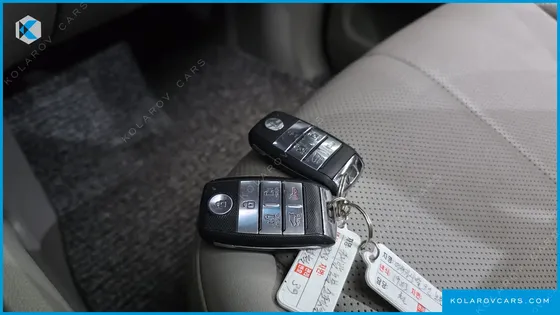 KIA CARNIVAL 9-SEATER NOBLESSE SPECIAL