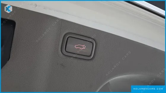 KIA CARNIVAL 9-SEATER NOBLESSE SPECIAL