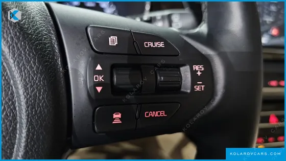 KIA CARNIVAL GASOLINE 9-SEATER LIMOUSINE(SPECIAL VEHICLE)