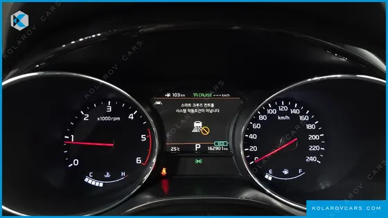 KIA CARNIVAL 9-SEATER NOBLESSE SPECIAL