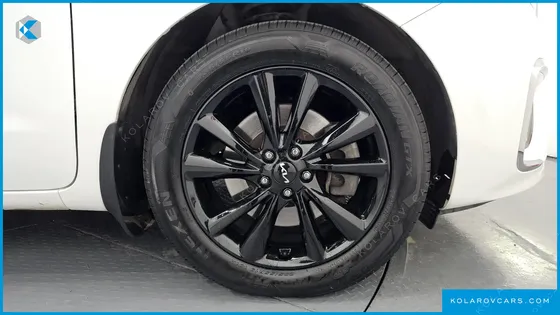 KIA CARNIVAL 9-SEATER NOBLESSE SPECIAL