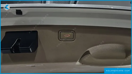 KIA CARNIVAL 9-SEATER NOBLESSE SPECIAL