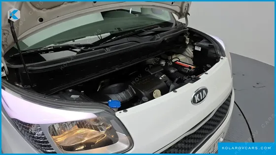 KIA RAY LUXURY