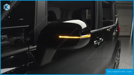 KIA RAY SIGNATURE