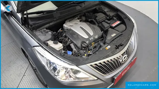 HYUNDAI GRANDEUR LPG HG300 HANDICAPPED ONLY