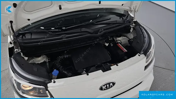 KIA RAY SIGNATURE