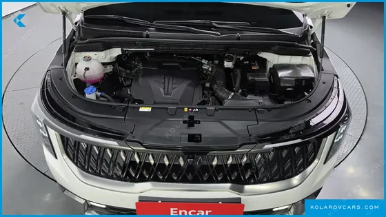 KIA CARNIVAL GASOLINE 9-SEATER NOBLESSE