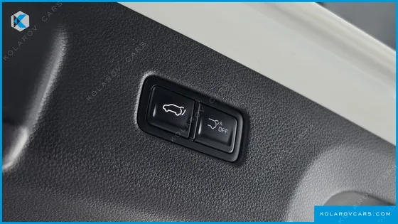 KIA CARNIVAL GASOLINE 9-SEATER NOBLESSE