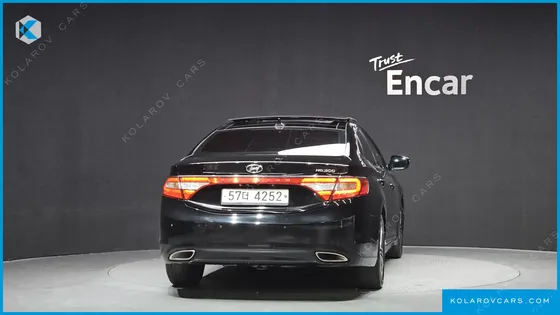 HYUNDAI GRANDEUR LPG HG300 HANDICAPPED ONLY