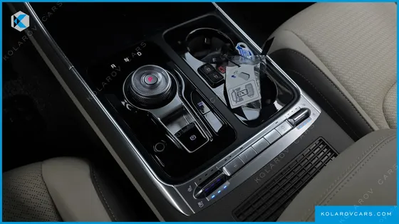 KIA CARNIVAL GASOLINE 9-SEATER HI LIMOUSINE