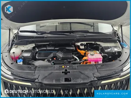 KIA CARNIVAL HEV 9-SEATER HI-LIMOUSINE (SPECIAL VEHICLE)