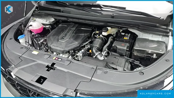 KIA CARNIVAL DIESEL 9-SEATER GRAVITY