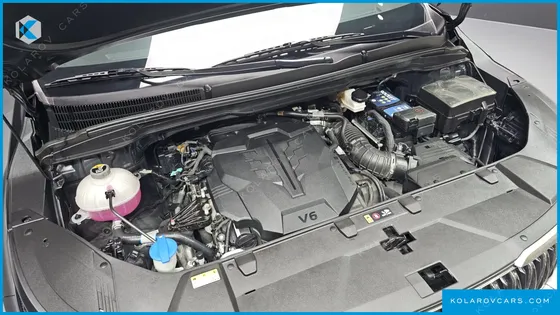 KIA CARNIVAL GASOLINE 4-SEATER HI-LIMOUSINE