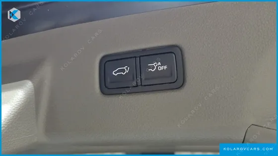 KIA CARNIVAL GASOLINE 4-SEATER HI-LIMOUSINE
