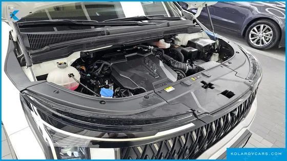 KIA CARNIVAL GASOLINE 9-SEATER HI LIMOUSINE