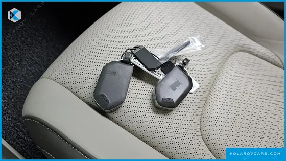KIA CARNIVAL GASOLINE 9-SEATER HI LIMOUSINE