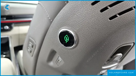 KIA CARNIVAL GASOLINE 9-SEATER HI LIMOUSINE