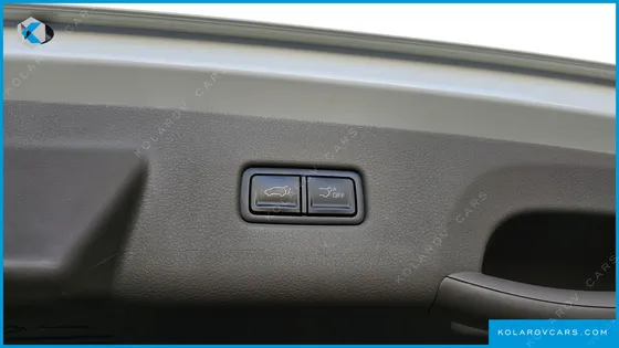 KIA CARNIVAL GASOLINE 9-SEATER HI LIMOUSINE