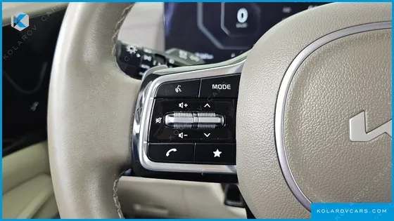 KIA CARNIVAL GASOLINE 9-SEATER HI LIMOUSINE