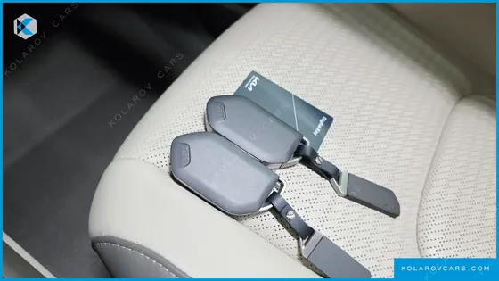 KIA CARNIVAL GASOLINE 7-SEATER GRAVITY