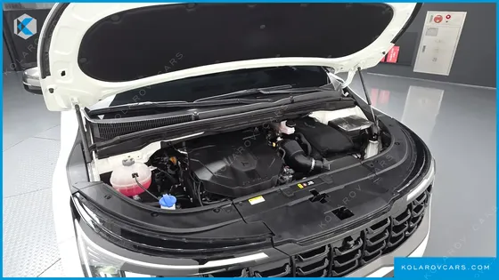 KIA CARNIVAL DIESEL 9-SEATER GRAVITY