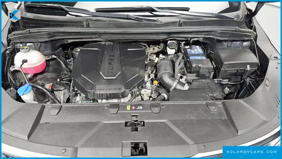 KIA CARNIVAL DIESEL 9-SEATER NOBLESSE