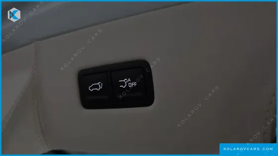 KIA CARNIVAL GASOLINE 9-SEATER LIMOUSINE(SPECIAL VEHICLE)