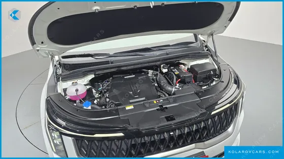 KIA CARNIVAL GASOLINE 9-SEATER HI LIMOUSINE (7-SEATER LIMOUSINE(SPECIAL VEHICLE)