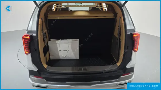 KIA CARNIVAL GASOLINE 9-SEATER HI LIMOUSINE (7-SEATER LIMOUSINE(SPECIAL VEHICLE)