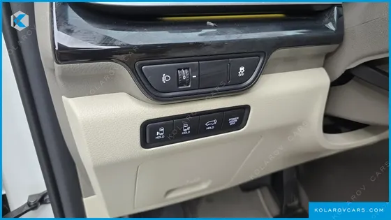 KIA CARNIVAL GASOLINE 9-SEATER SIGNATURE