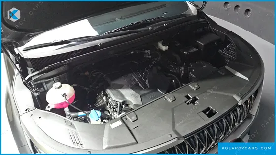 KIA CARNIVAL GASOLINE 9-SEATER HI-LIMOUSINE