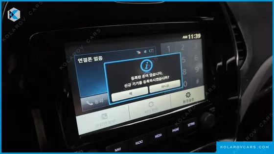 RENAULT KOREA QM3 RE