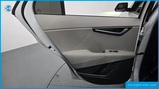 KIA NIRO EARTH