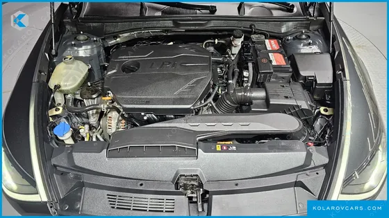 HYUNDAI SONATA 2.0 LPG(DISABLED PERSON)
